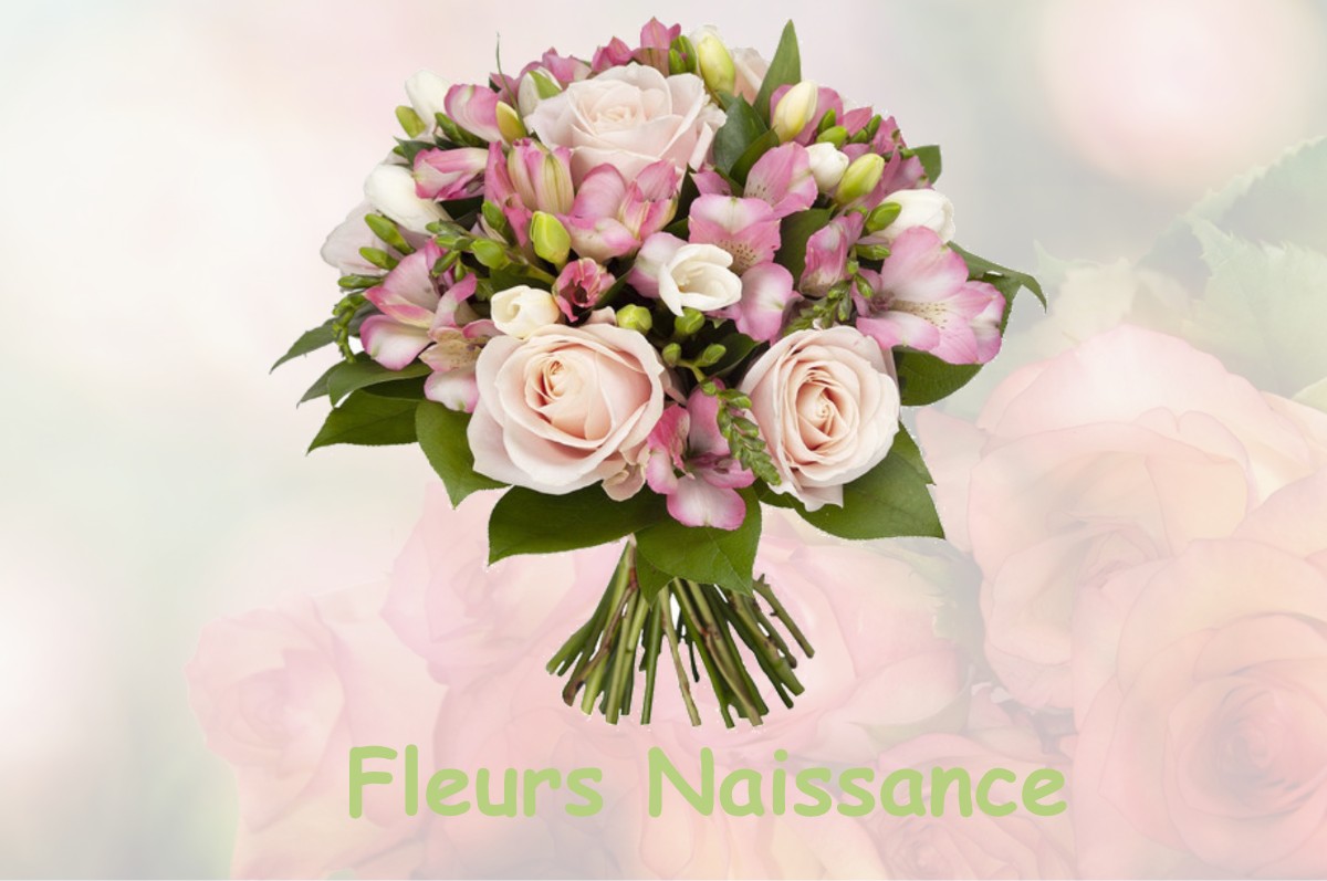 fleurs naissance RENAGE