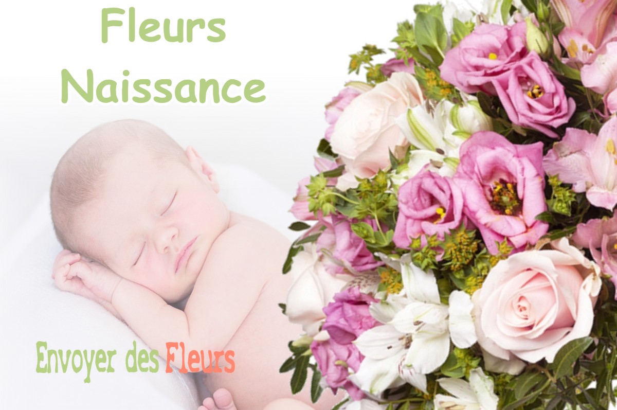 lIVRAISON FLEURS NAISSANCE à RENAGE